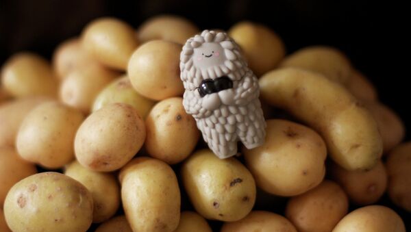 Pommes de terre. Image d'illustration - Sputnik Afrique