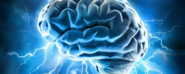 Un cerveau Un cerveau - Sputnik Afrique