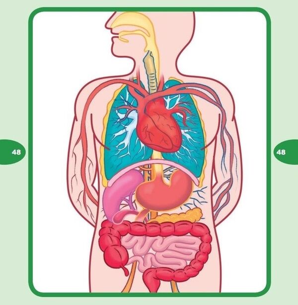 Guides de Routard pour réfugiés - Sputnik Afrique