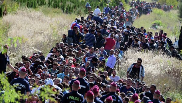 Directed by Hungarian police officers, migrants make their way through the countryside after they crossed the Hungarian-Croatian border near the village of Zakany in Hungary to continue their trip to north on September 21, 2015 - Sputnik Afrique