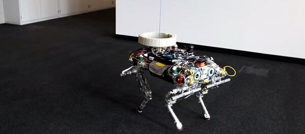 Un quadrirotor promène un chien-robot - Sputnik Afrique
