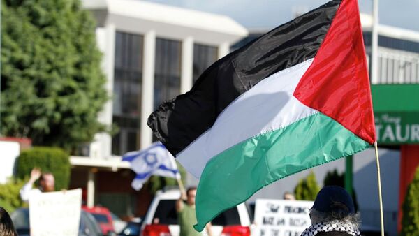 Le drapeau palestinien - Sputnik Afrique