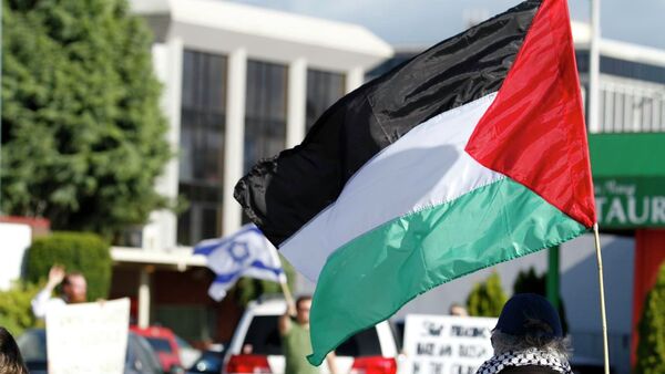 Le drapeau palestinien - Sputnik Afrique
