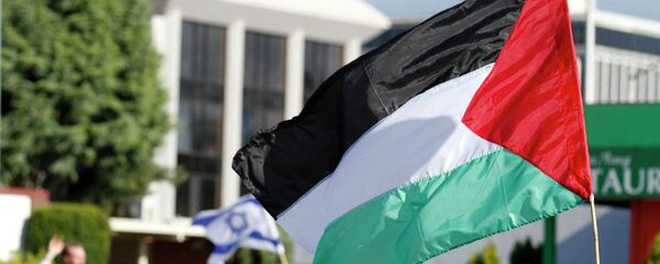 Le drapeau palestinien - Sputnik Afrique