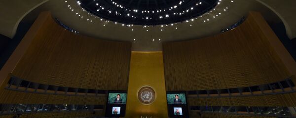Assemblée générale de l'Onu - Sputnik Afrique