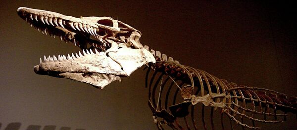 fossile d'un lézard gigantesque - Sputnik Afrique