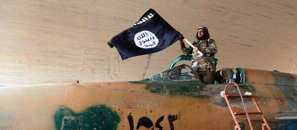 Combattant de l'EI, l'image d'ilustration - Sputnik Afrique