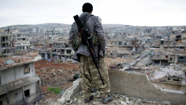 Un rebelle syrien regarde une régin bombardée - Sputnik Afrique