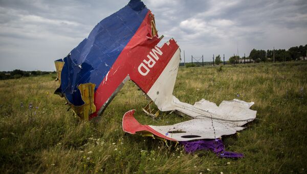 Débris du Boeing-777, vol MH17 - Sputnik Afrique