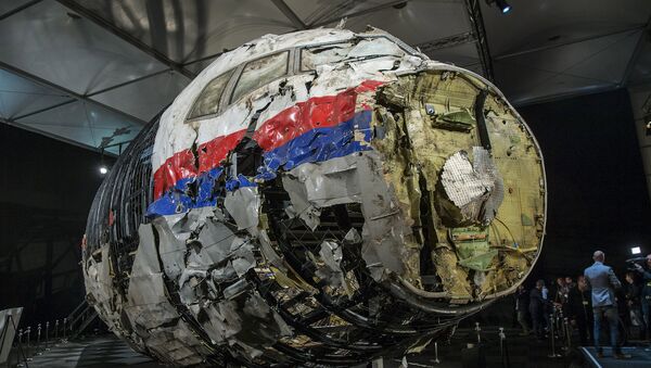 The reconstructed wreckage of the MH17 airplane is seen after the presentation of the final report into the crash of July 2014 of Malaysia Airlines flight MH17 over Ukraine, in Gilze Rijen, the Netherlands, October 13, 2015 - Sputnik Afrique