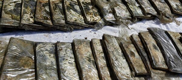 767 kilos de résine de cannabis saisis en région parisienne - Sputnik Afrique