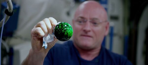 Bulle d'eau effervescente en apesanteur - Sputnik Afrique