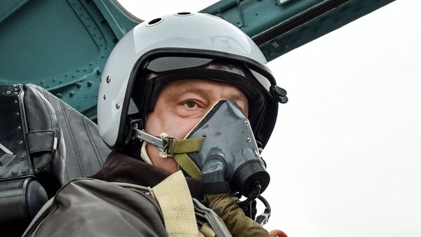 Le président ukrainien Piotr Porochenko aux commandes d'un Su-27 - Sputnik Afrique