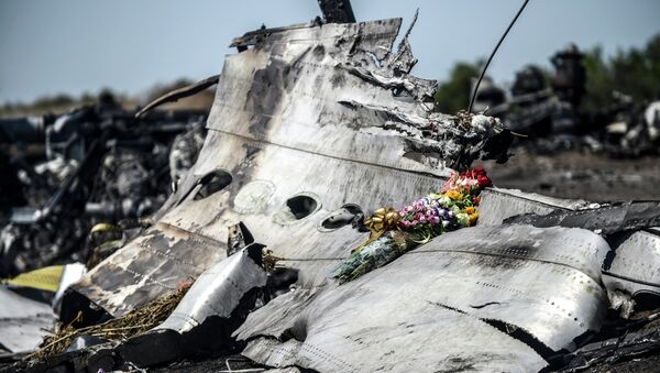 Fragment du Boeing abattu en Ukraine - Sputnik Afrique