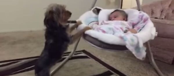 Un chien berce un bébé - Sputnik Afrique