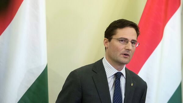Marton Gyongyosi, member of the Jobbik party and Deputy Chairman of Parliament's Foreign Affairs committee - Sputnik Afrique