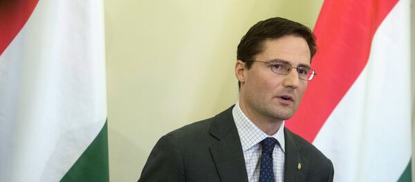 Marton Gyongyosi, member of the Jobbik party and Deputy Chairman of Parliament's Foreign Affairs committee Marton Gyongyosi, member of the Jobbik party and Deputy Chairman of Parliament's Foreign Affairs committee - Sputnik Afrique