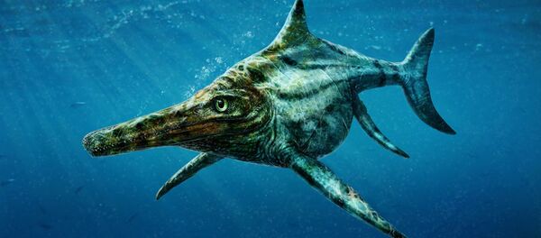 Dinosaure marin - Sputnik Afrique