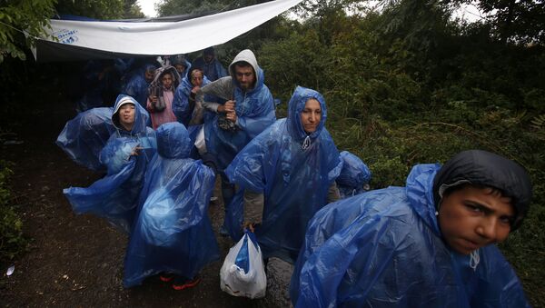 A group of migrants head to cross a border line between Serbia and Croatia, near the village of Berkasovo, about 100 km west from Belgrade, Serbia, Tuesday, Sept. 29, 2015 - Sputnik Afrique