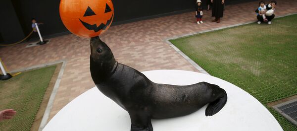 Les actualités de nos amis les animaux - Sputnik Afrique