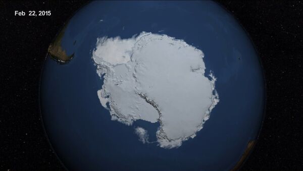 Antarctique: la surface de la banquise augmente - Sputnik Afrique