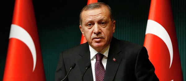 Le président turc Tayyip Erdogan à Ankara - Sputnik Afrique