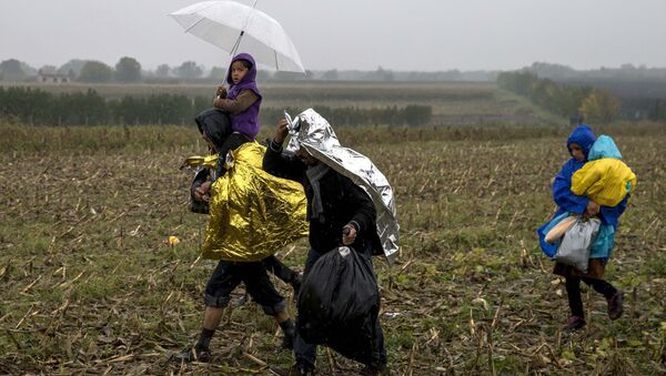 Migrants protect themselves from the rain as they walk through a field close to the border with Croatia near the village of Berkasovo, Serbia, October 19, 2015 - Sputnik Afrique