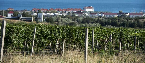 Crimée - Sputnik Afrique