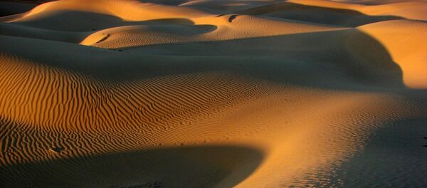 désert - Sputnik Afrique