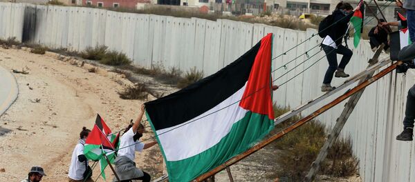 Les activistes étrangers et les manifestants palestiniens utilisent une rampe en métal pour traverser une section de la barrière israélienne controversée près du poste de contrôle Kalandia. Archive photo Les activistes étrangers et les manifestants palestiniens utilisent une rampe en métal pour traverser une section de la barrière israélienne controversée près du poste de contrôle Kalandia. Archive photo - Sputnik Afrique