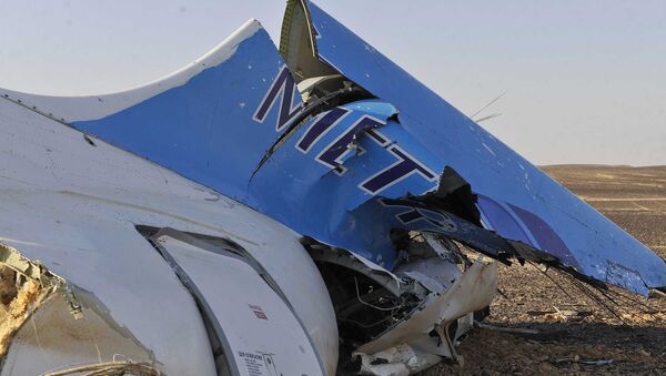 Les débris de l'Airbus A321 de Metrojet en Egypte - Sputnik Afrique