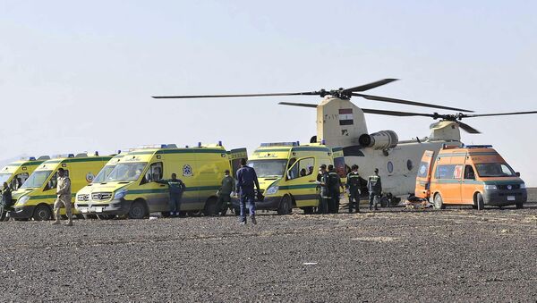 Ambulances prêtes à transporter les corps des victimes du crash d'un avion russe en Egypte (31 octobre 2015) - Sputnik Afrique