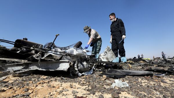 Des experts russes étudient les débris de l'Airbus A321 en Egypte - Sputnik Afrique