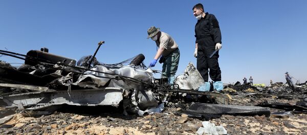 Des experts russes étudient les débris de l'Airbus A321 en Egypte - Sputnik Afrique