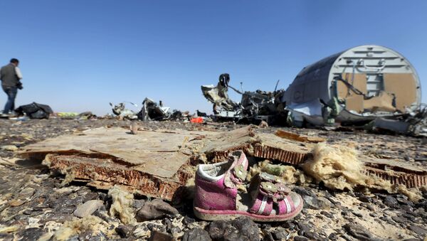 Les débris de l'Airbus A321 en Egypte - Sputnik Afrique