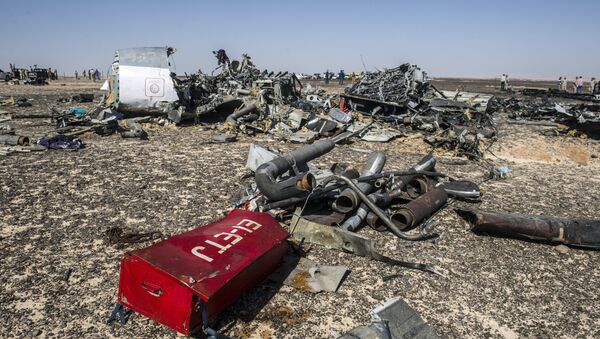 Les débris de l'avion Airbus A-321 qui s'est écrasé en Egypte le 31 octobre 2015 - Sputnik Afrique