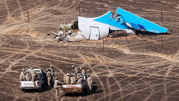 des débris de l`avion A321, Egypte, Novembre 1, 2015 - Sputnik Afrique