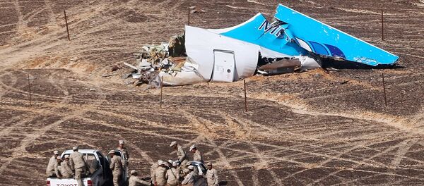 des débris de l`avion A321, Egypte, Novembre 1, 2015 - Sputnik Afrique