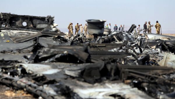des débris de l`avion A321, Egypte, Sinaï, novembre 1, 2015 - Sputnik Afrique