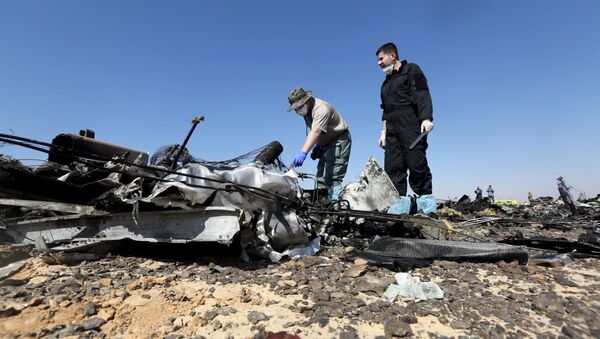 Le crash de l'Airbus A321 - Sputnik Afrique
