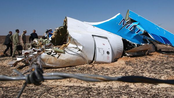 Airbus A-321 qui s'est écrasé en Egypte le 31 octobre 2015 - Sputnik Afrique