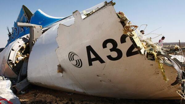 Les débris de l'avion Airbus A-321 qui s'est écrasé en Egypte le 31 octobre 2015 - Sputnik Afrique