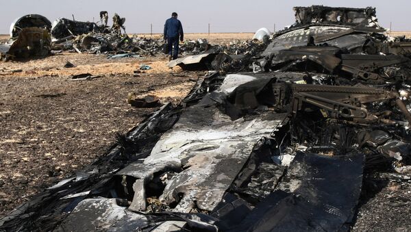 Les débris de l'Airbus A321 russe dans le Sinaï - Sputnik Afrique