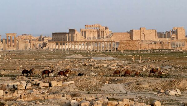 Cité de Palmyre, en Syrie - Sputnik Afrique