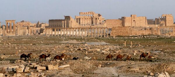 View of Palmyra with the Temple of Bel, Syria - Sputnik Afrique