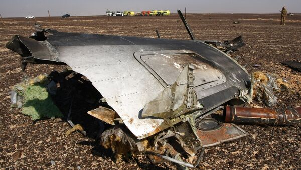des débris de l`avion A321, Egypte, Novembre 1, 2015 - Sputnik Afrique