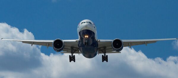 Un avion - Sputnik Afrique
