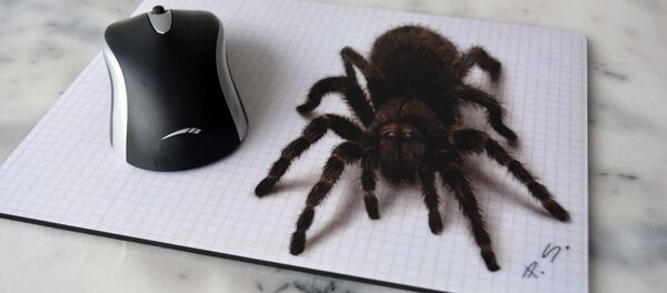 Spider - Sputnik Afrique