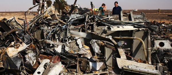 des débris de l`avion A321, Egypte, Novembre 1, 2015 - Sputnik Afrique