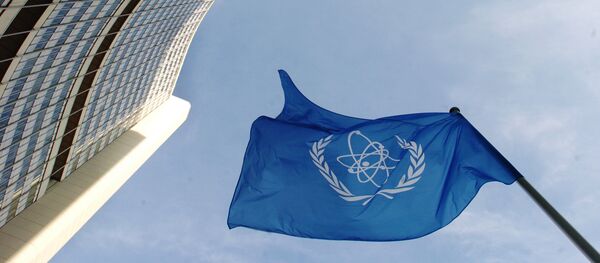 l’Agence internationale de l'énergie atomique (AIEA). - Sputnik Afrique